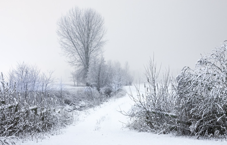 How To Transform Your Child S Bedroom Into A Winter